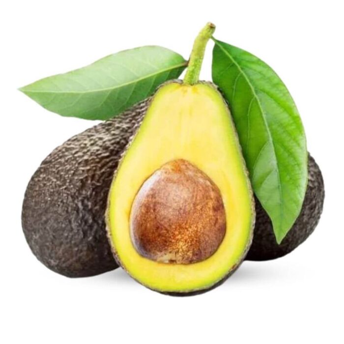 Avocado Mexico