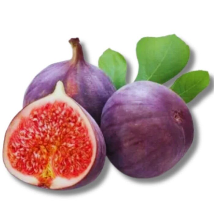 Fresh Figs