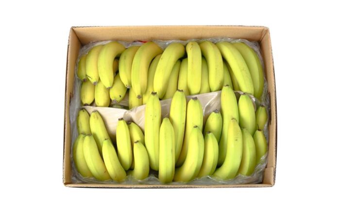 Chiquita Banana (Ecuador) - 13kg box of premium ripe bananas ideal for retail and bulk purchase