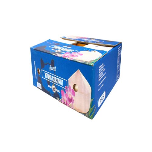 Natural Coconut (Thailand) – 9pcs per box, ideal for fresh coconut water and recipes
