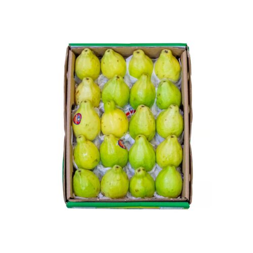 Guava Egypt fresh fruit approx 1.8kg per box, sweet tropical guava from Egypt
