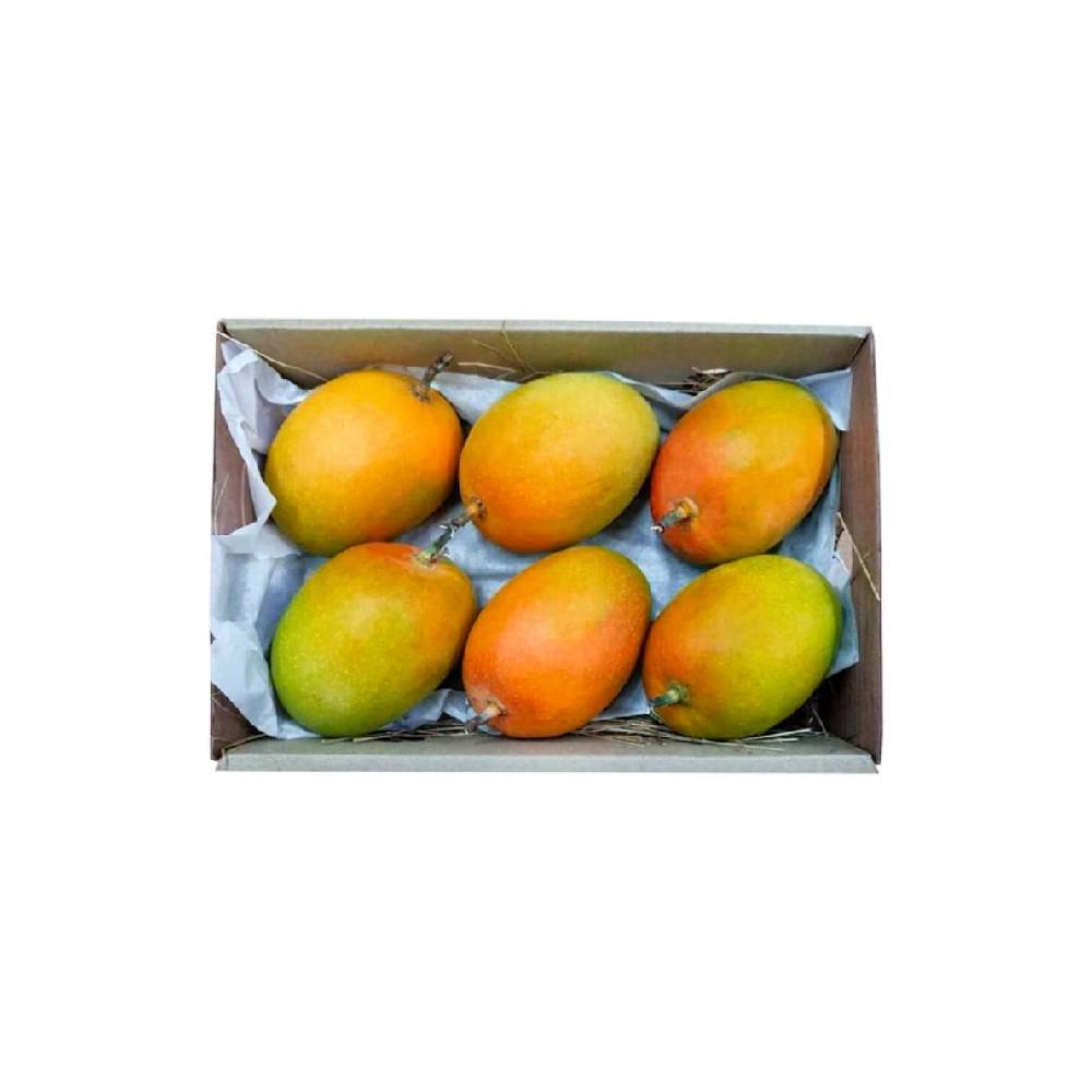 Mango Alphonso India 2.5kg to 3kg box fresh juicy sweet premium fruit