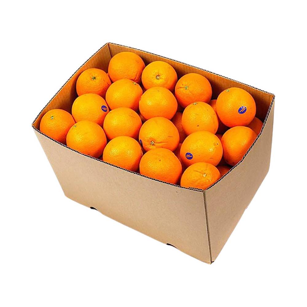 Fresh and juicy Orange Navel (Spain) - Approx 8kg per box, ideal for snacking, juicing, or cooking.