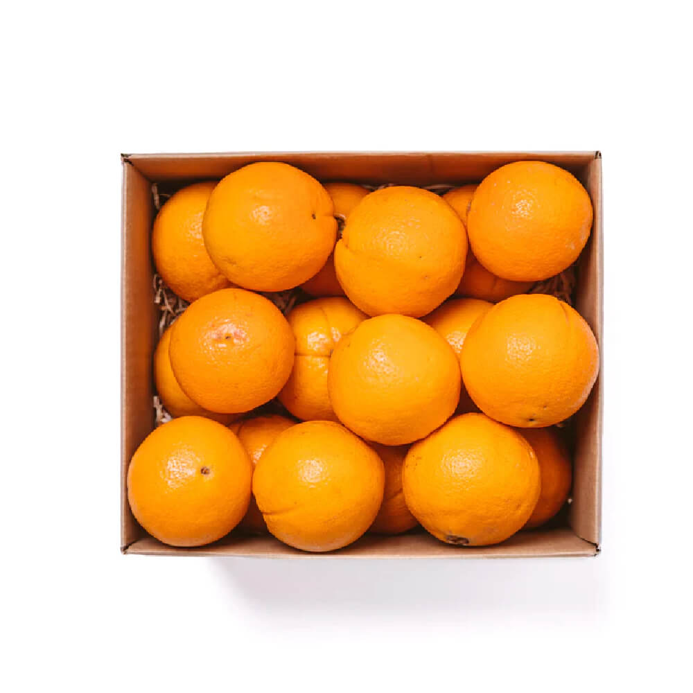 Orange Valencia Egypt 7kg, Bulk items, Fresh fruits, Catering, Wholesale price