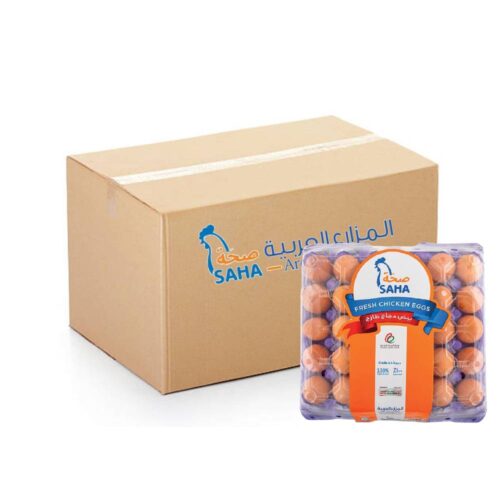 Saha Brown Large Eggs 12x30s – Fresh Large Brown Eggs, High-Quality Farm Eggs, Ideal for Cooking and Baking, Bulk Pack for Foodservice and Homes