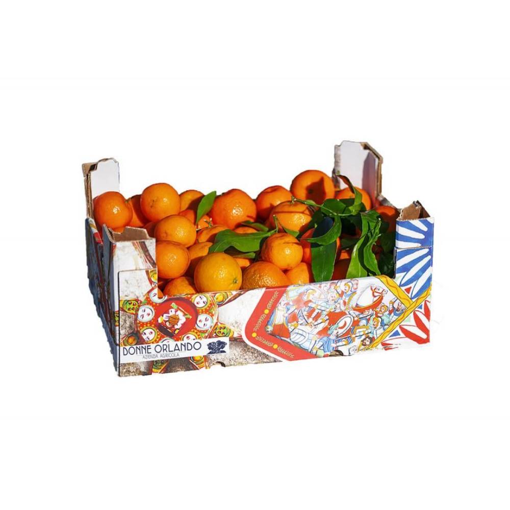 Fresh Clementine (South Africa) - Approx 10kg per box featuring juicy, sweet, and easy-to-peel South African citrus fruit.