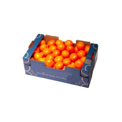 Mandarin Nova (South Africa) - Approx 10kg per box of sweet, seedless mandarins with vibrant color and juicy citrus flavor.