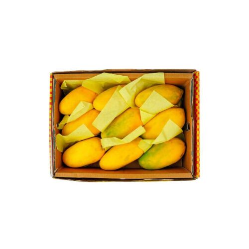 Fresh Mango Chonsia (Pakistan) – Approx 5kg per box, sweet and juicy Pakistani mangoes perfect for snacking and tropical recipes.