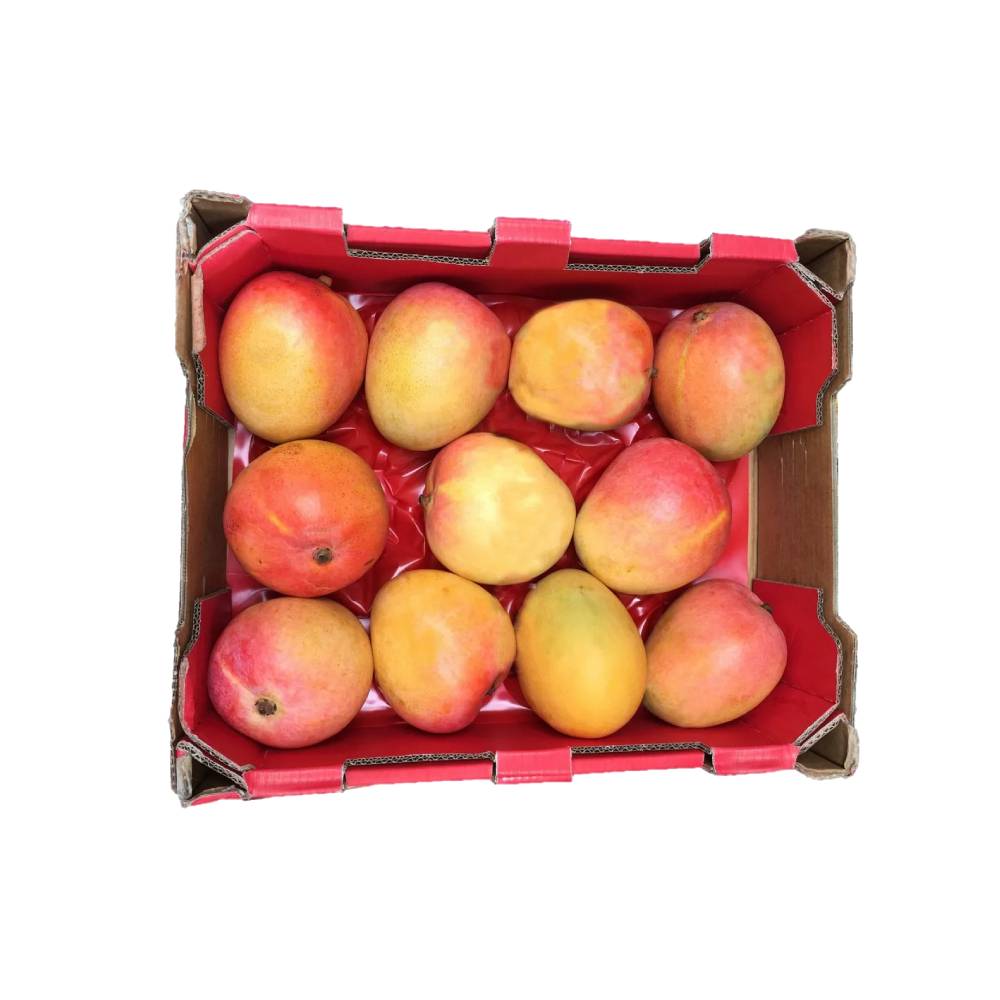 Fresh Mango R2E2 (Egypt) – Approx 3kg per box, sweet and juicy Egyptian mangoes perfect for snacking and tropical recipes.