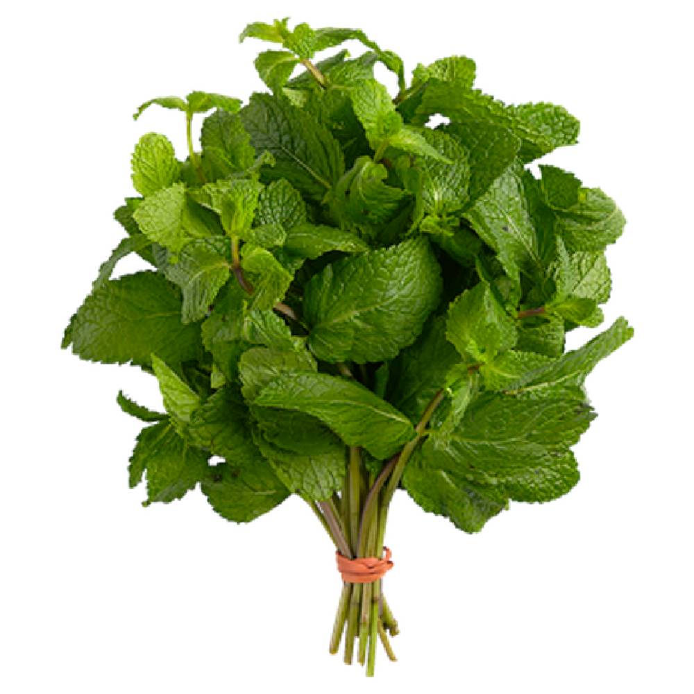 Fresh Mint Leaves (UAE) – Pack of 5 Bunches, aromatic green herb perfect for teas, cooking, and garnishing dishes.