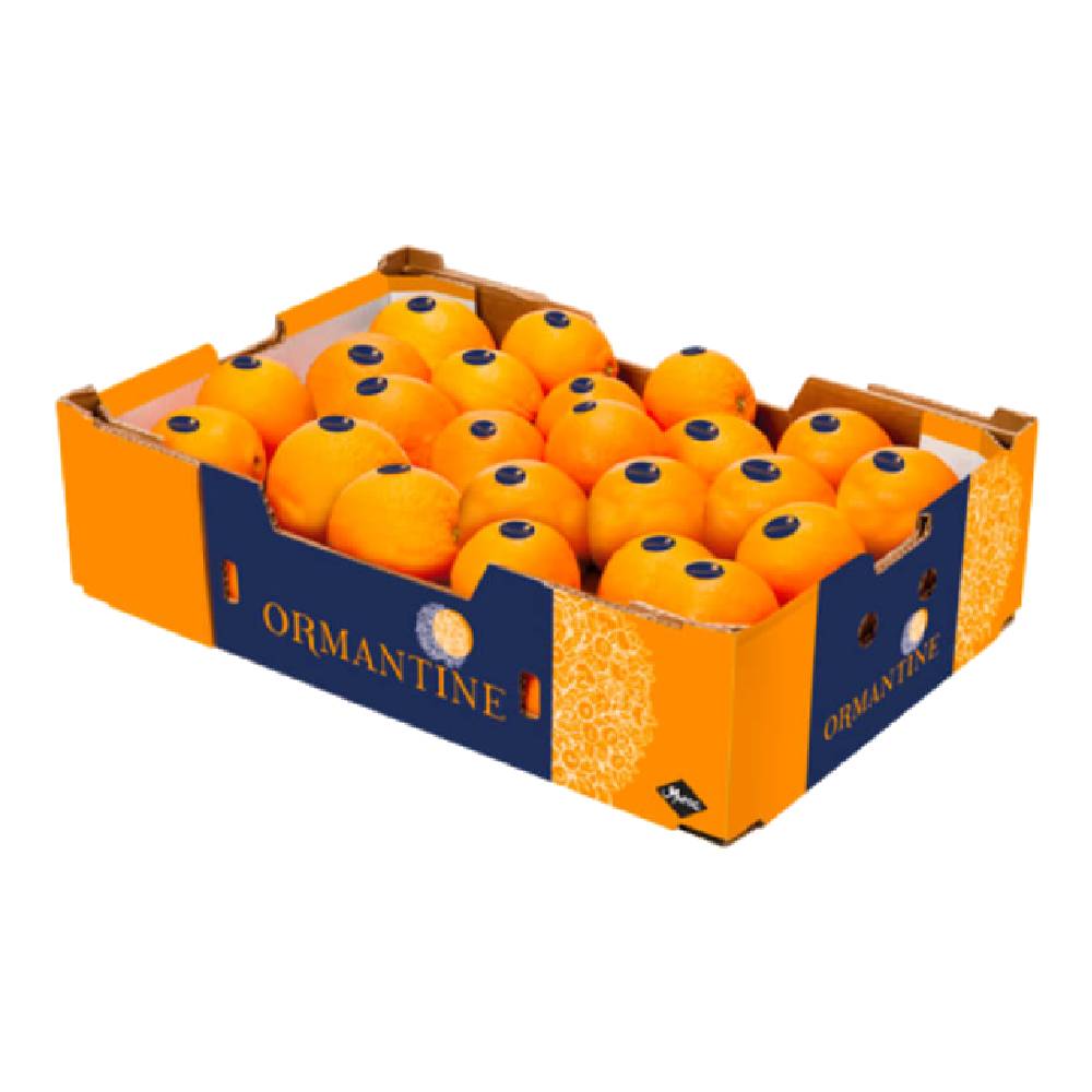 Orange Blood Cara Cara (South Africa) - Approx 15kg per box of premium, sweet, ruby-fleshed citrus fruits ideal for juicing and snacking.