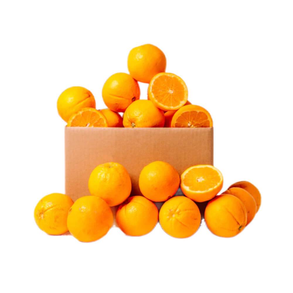 Fresh Orange Navel (South Africa) – Approx 14kg per box, sweet seedless citrus fruit ideal for snacking and juicing.