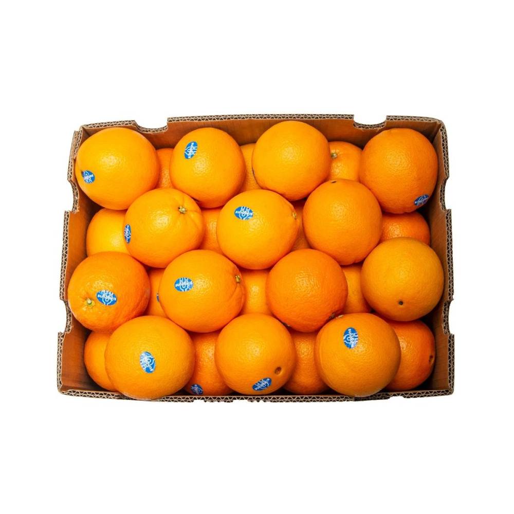 Fresh Orange Valencia (South Africa) – Approx 15kg per box, sweet and juicy South African Valencia oranges perfect for juicing and fresh eating.